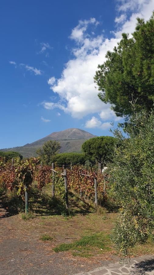 Beb Casale Pompei Rendine Villa Boscotrecase Exterior foto