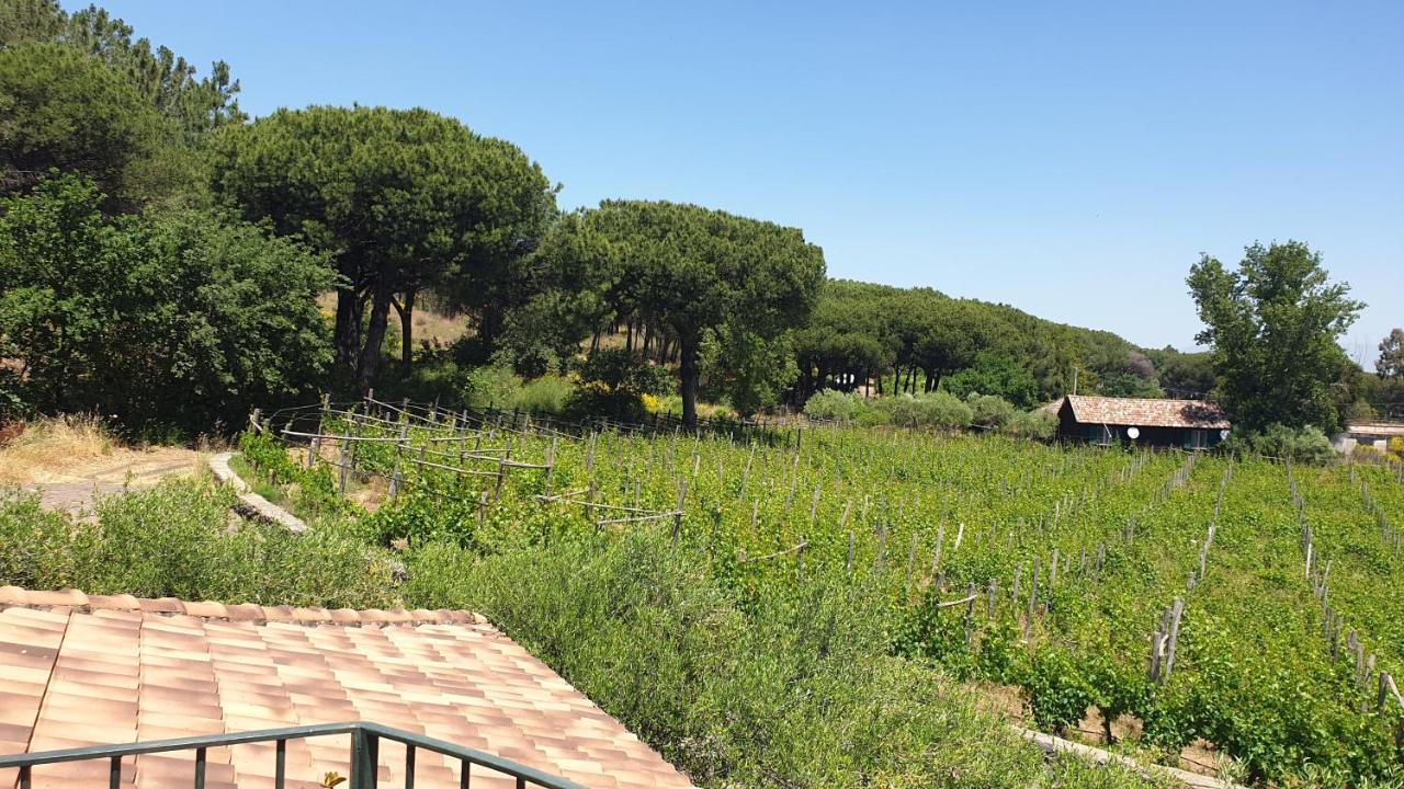Beb Casale Pompei Rendine Villa Boscotrecase Exterior foto